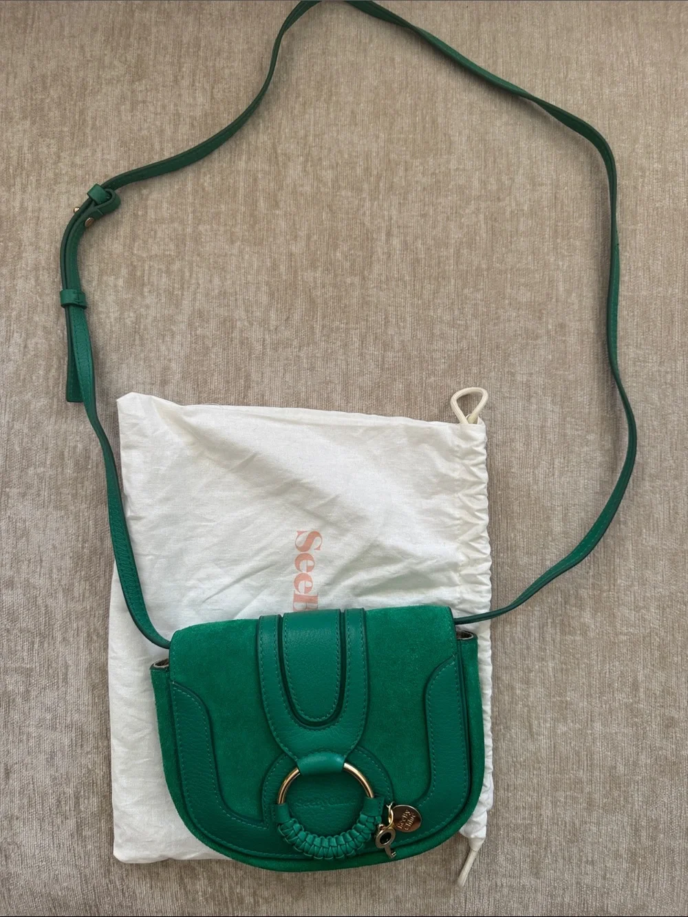 See By Chloe Kelly Green Suede & Leather Crossbody with Gold Ring - Picture 3 of 5